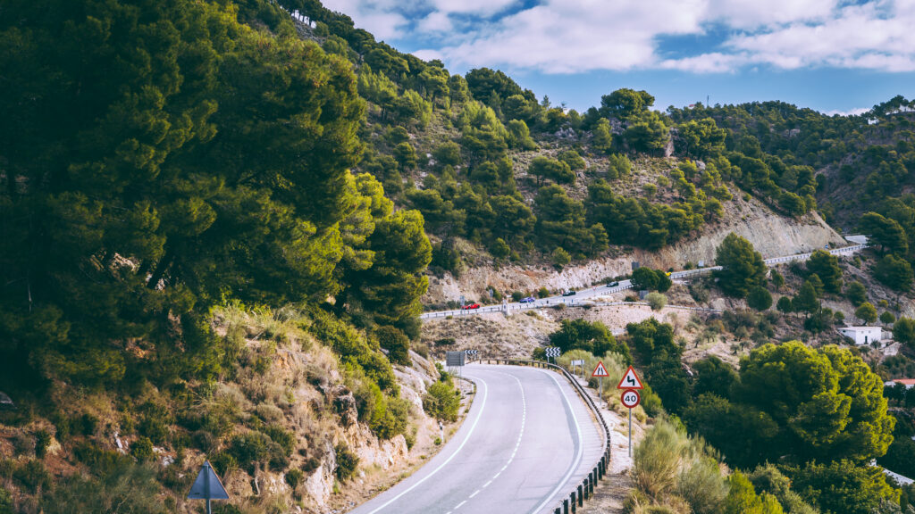 2017 金刚国际官方弹珠游戏网 金刚游戏官网 Club GT Events Canine Classic Master Pics 41